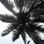 Profile Picture of Jacqueline Vierling (@jaci.0811) on Instagram