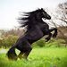 Profile Picture of Abel Arevalo (@abelarevalo6) on Pinterest