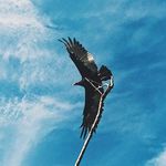 Profile Picture of ROBIN MELLOR (@robinmellor) on Instagram