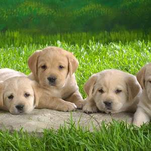 Jacqueline Torion - Tiktok Profile Picture of Jacqueline Torion (@jacquelinetorion) on Tiktok