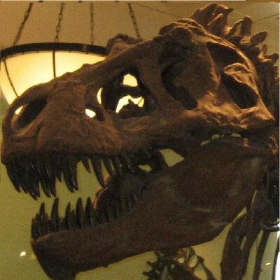 Profile Picture of Alexis Rudakas (@The_Last_Giant) on Twitter