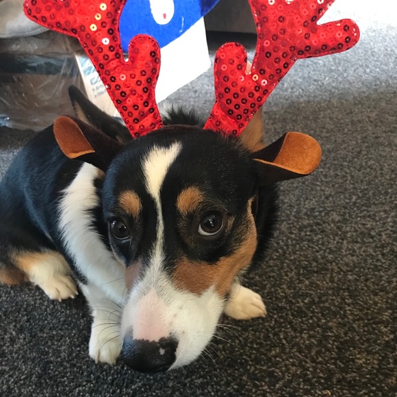 Profile Picture of Christopher Wright (@christopherw263) on Poshmark