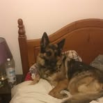 Profile Picture of Gary Carruthers (@gary.carruthers.5095) on Facebook