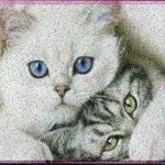 Profile Picture of  (@nesheim_7877__erich) on Instagram