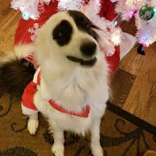 Profile Picture of Jacob Gross (@jacobgross9134) on Youtube