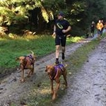 Profile Picture of Dirk Klein | Germany🇩🇪 (@owl_runner) on Instagram
