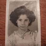 Janet Schreick - Instagram Profile Picture of Janet Schreick (@schreickjanet) on Instagram