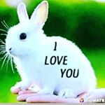 Profile Picture of Anand Tripathi (@anandtripathi6589) on Instagram