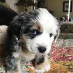 Scott Nordin - Facebook Profile Picture of Scott Nordin (@scott.nordin.breck) on Facebook