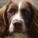 Profile Picture of Geraldine Greenacre (@barrygreenacre) on Pinterest