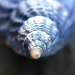 Profile Picture of Scott Hutcheson (@hutcheson.scott) on Flickr
