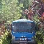 Steven Wiri - Facebook Profile Picture of Steven Wiri (@Steven-Wiri) on Facebook