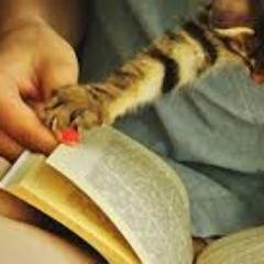 Profile Picture of Ron Haynes (@RonHaynes11) on Twitter