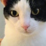 Profile Picture of Beth Boyd (@exibalba9) on Youtube