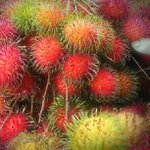 Profile Picture of Zachary Garrow (@museauma) on Instagram