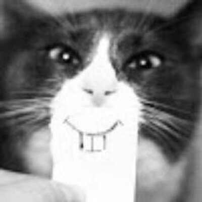 Profile Picture of ^^Joshua^^ (@JoshSlaveF) on Twitter