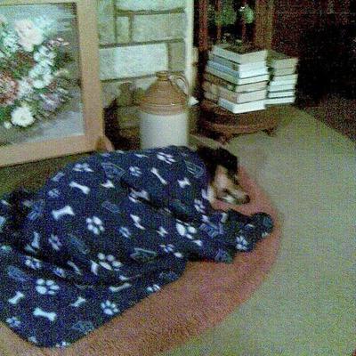 Profile Picture of Gillian Sowray (@GSowray) on Twitter