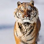 Profile Picture of Anand R (@anand_rajen) on Instagram