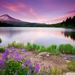 Profile Picture of Luis Angles (@luisangles) on Pinterest