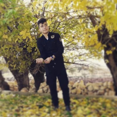 Profile Picture of Ali Chouman (@Alish956) on Twitter