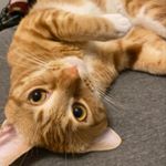 Profile Picture of Dorian Ruiz (@themightydorian) on Instagram