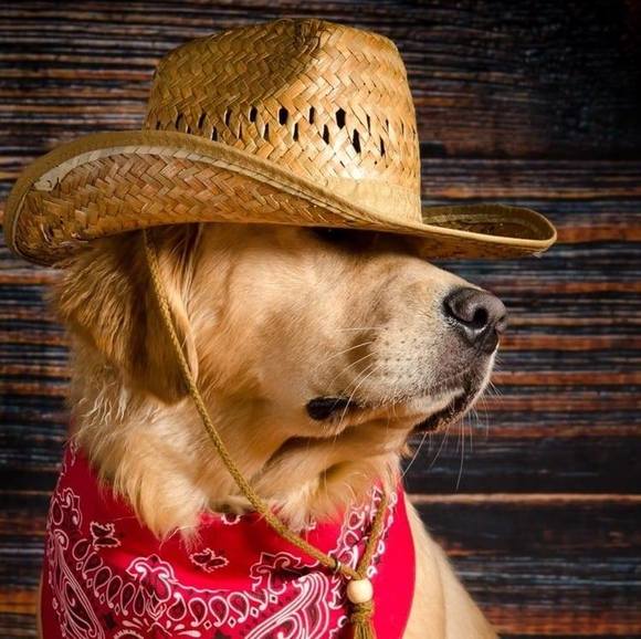 Profile Picture of Mario Zelaya (@mariojosezelaya) on Poshmark