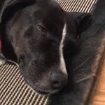 Profile Picture of Nancy Reckler (@nancyreckler) on Instagram