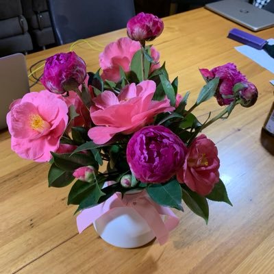 Profile Picture of Lilly Beck (@coach_soul) on Twitter