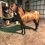 Profile Picture of Abraham Vaca (@abraham.vaca.5) on Facebook