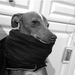 Profile Picture of Victoria Warren (@_victoriawarren) on Instagram