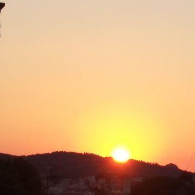 Profile Picture of Marc Castello Morato (@marc_morato) on Twitter