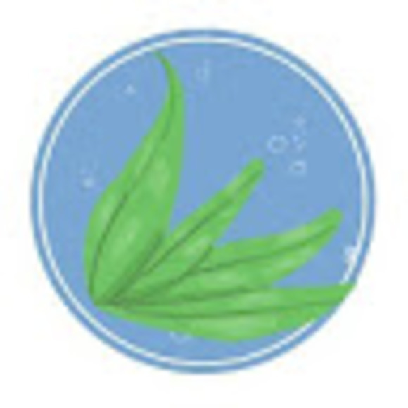 Profile Picture of Asma Shahid (@asmatwni) on Poshmark