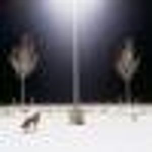 Profile Picture of Winsome Williams (@298926577) on Myspace