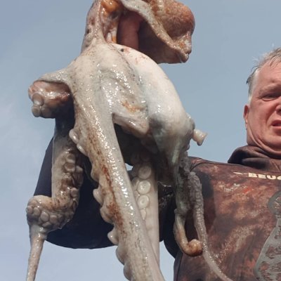 Profile Picture of Peter Harman (@peterha59799080) on Twitter