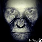 Profile Picture of Andre Konrad (@andreekonrad) on Instagram