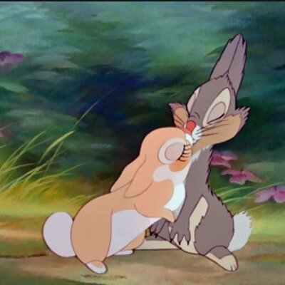 Profile Picture of Bunny BenWa (@BunnyBenWa) on Twitter