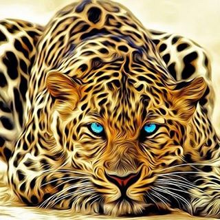 Profile Picture of Nathan Lyles (@nathan.lysell) on Facebook