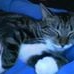 Profile Picture of Eleanor Hendricks (@eleanor.hendricks.12) on Facebook