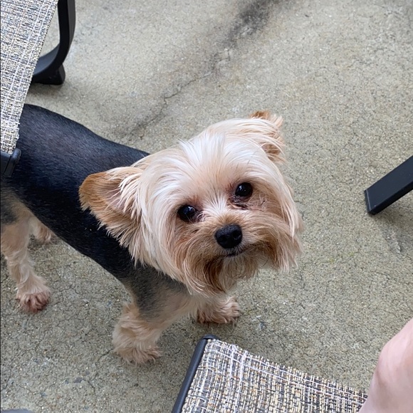 Profile Picture of Ashley Trendell (@atrend1226) on Poshmark