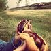 Profile Picture of Ross Crandall (@crandallross) on Pinterest