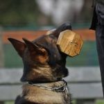 Profile Picture of Michel Bloemen (@bloemenmichel) on Instagram