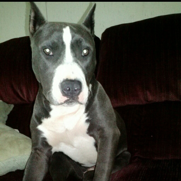 Profile Picture of Janet Davis (@tudder) on Poshmark