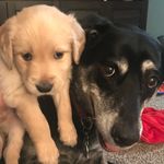 Profile Picture of  (@jose.phholmen) on Instagram