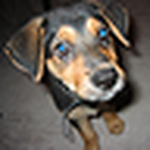 Profile Picture of Czu (@czu) on Flickr