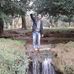 Profile Picture of Karba Hamza (@hamza.kareb) on Facebook