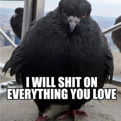 Erik Hallberg - Twitter Profile Picture of Erik Hallberg (@Hallberg__) on Twitter