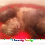 Profile Picture of Wesley Conklin (@wesley.conklin.9) on Facebook