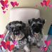 Profile Picture of Susan Sexton (@susan.sexton.902) on Facebook