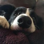 Profile Picture of Brian Anzellotti (@b.anzellotti) on Instagram