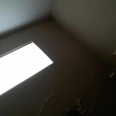 Profile Picture of Jose Jalomo (@JoseJalomo2) on Twitter